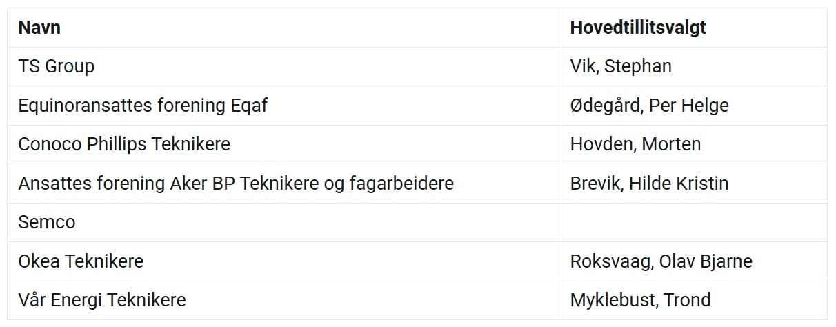 Bedriftsgruppe teknikere olje og gass
