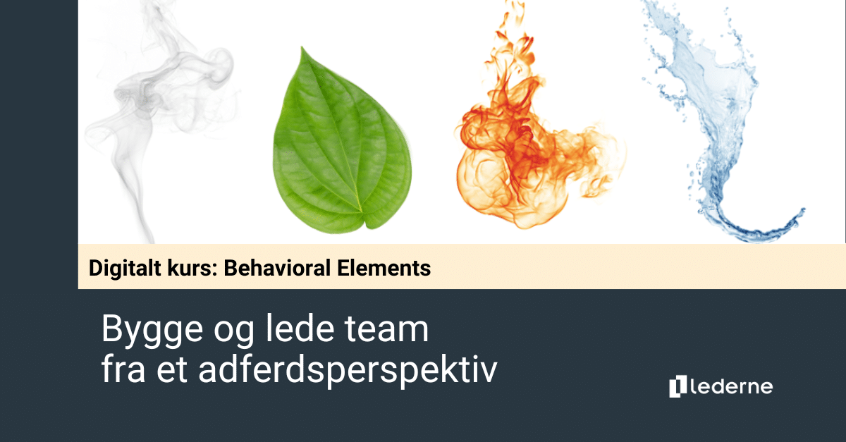 Bygge og lede team fra et adferdsperspektiv