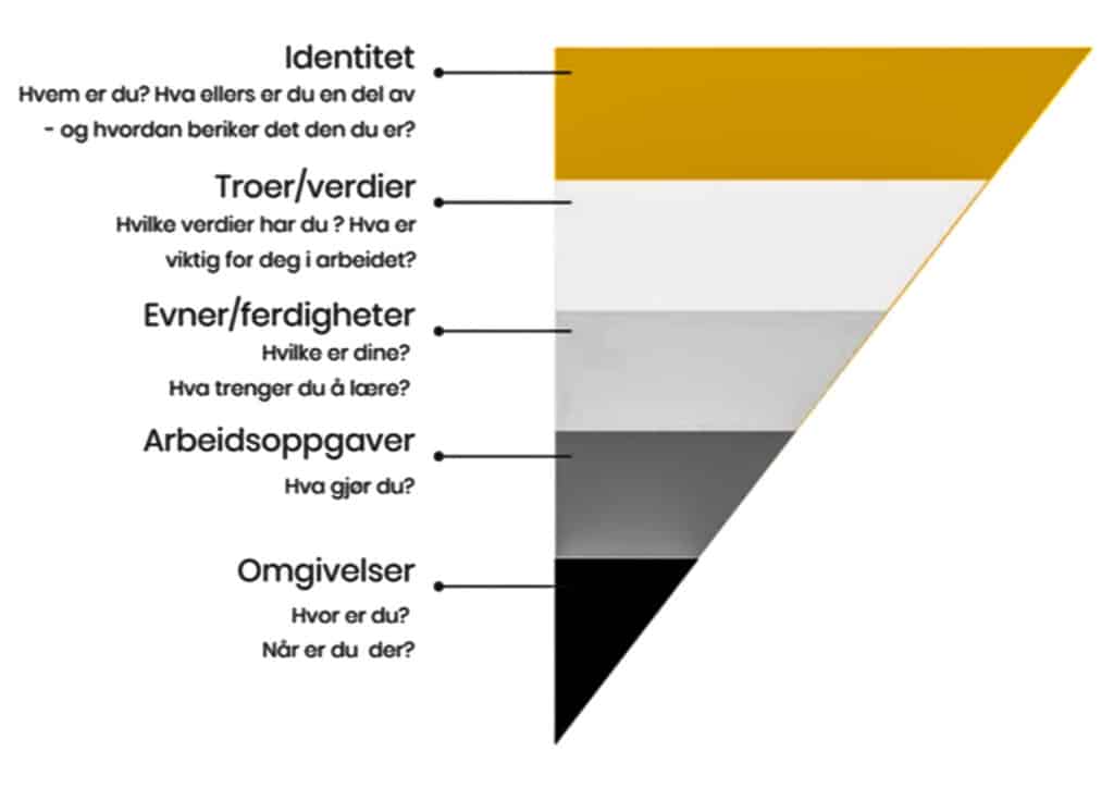 Illustrasjon av modellen "Logiske nivåer".