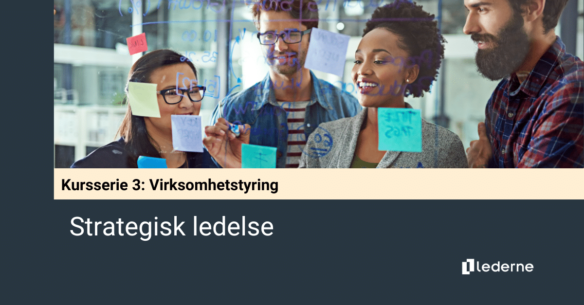 Serie 3 - Strategisk ledelse
