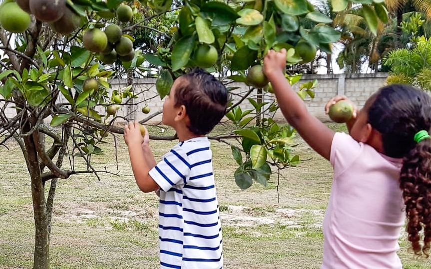 To barn plukker frukt fra frukttrærne til mødrehjemmet Abrigo.