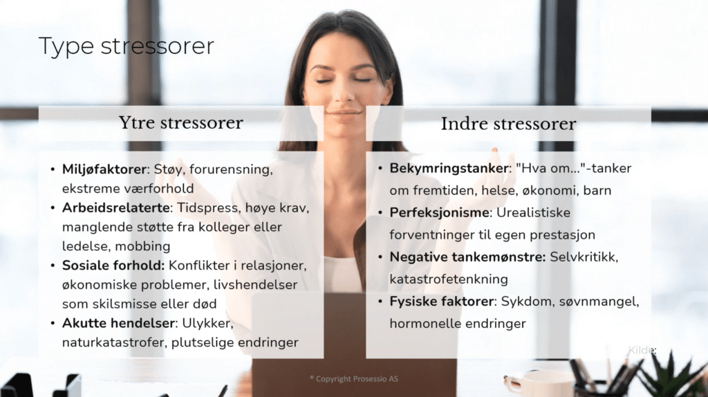 Oversikt over ytre og indre stressorer.