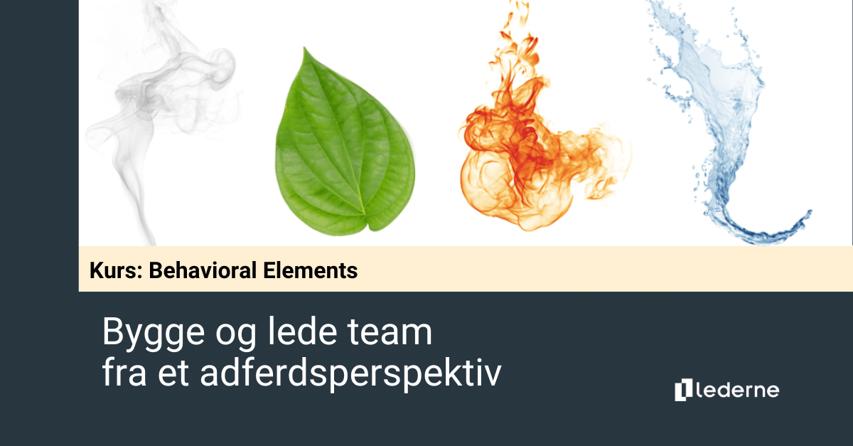Bygge og lede effektive team
