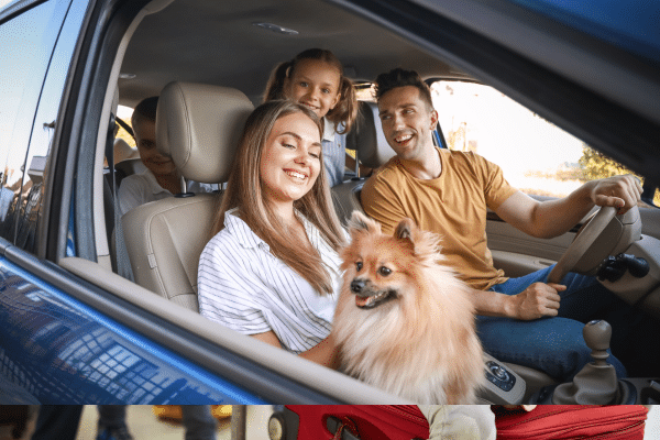 Glad familie i bil - Forsikring Lederne